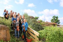 The Gathering Festival of Music and Arts | Killarney | Photos 8